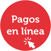 pagos en línea